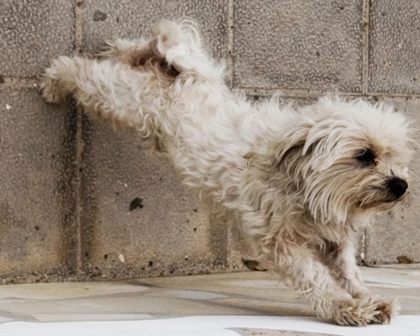 photocase_id_160253 photocase_id_160253